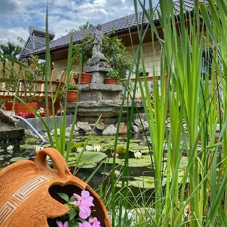 Lovin's Pensiune Tuzla